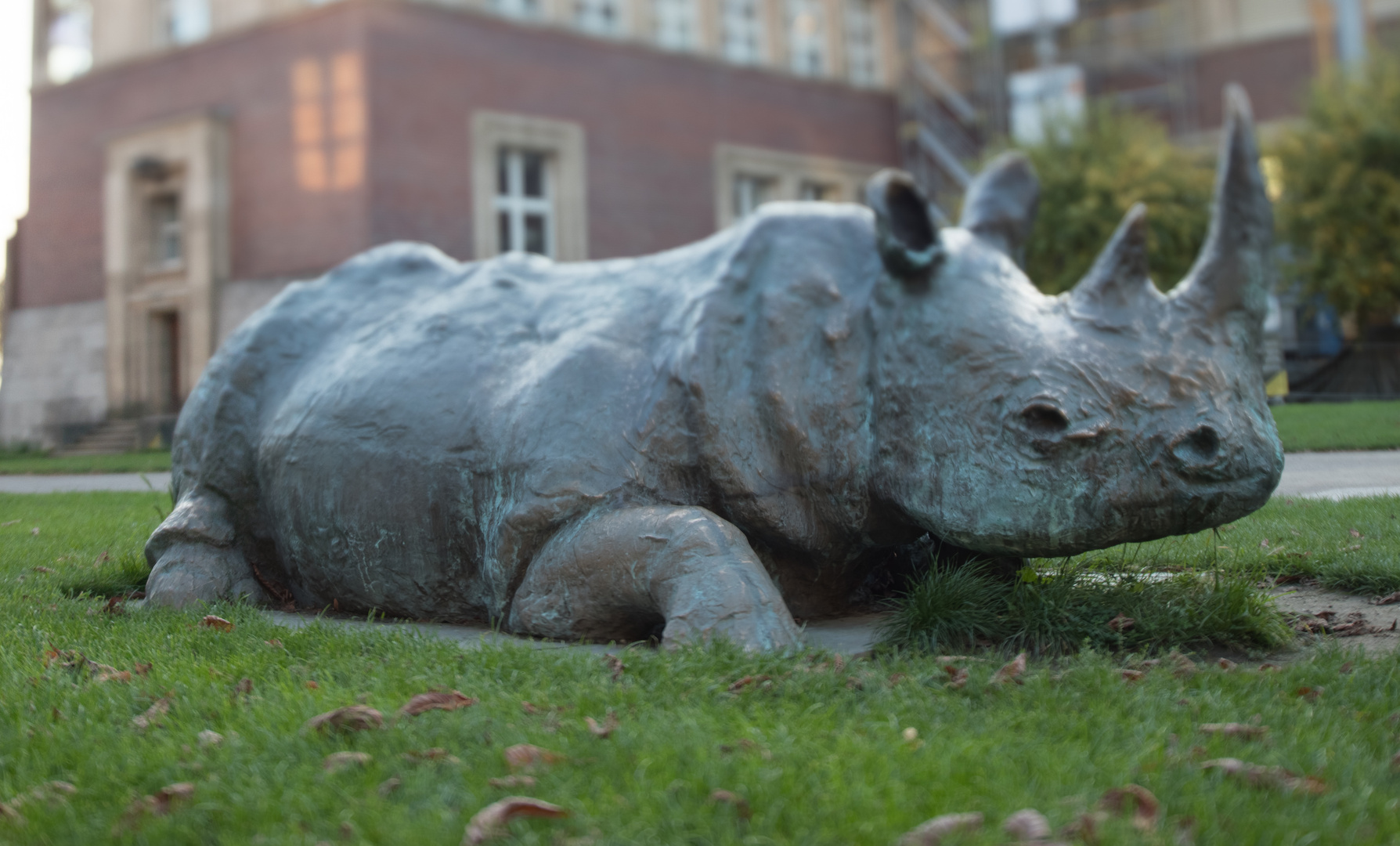 "Nashorn" Foto & Bild | spezial, architektur, tilt Bilder ...
