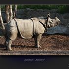 Nashorn