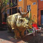 Nashorn in Flensburg