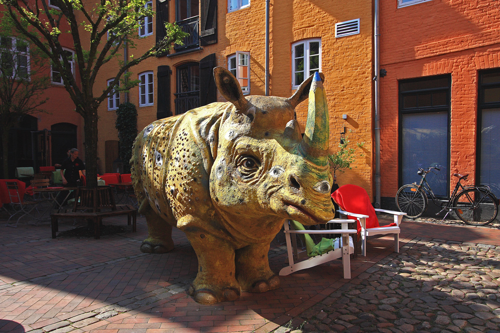 Nashorn in Flensburg