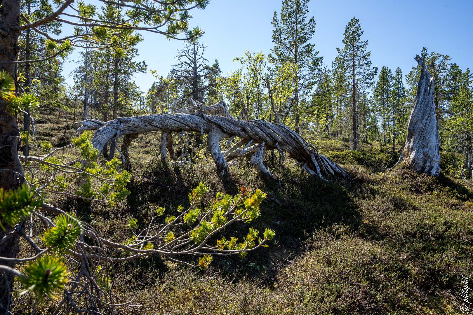 Nasjonalpark