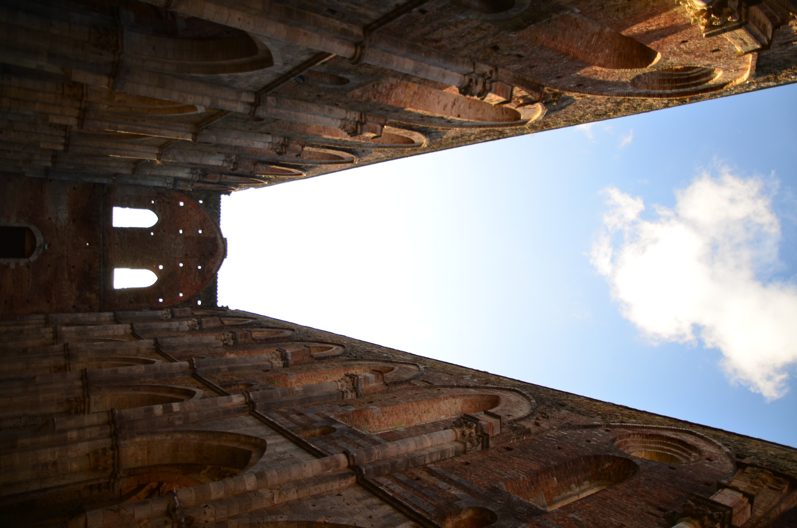 naso in sù a San Galgano