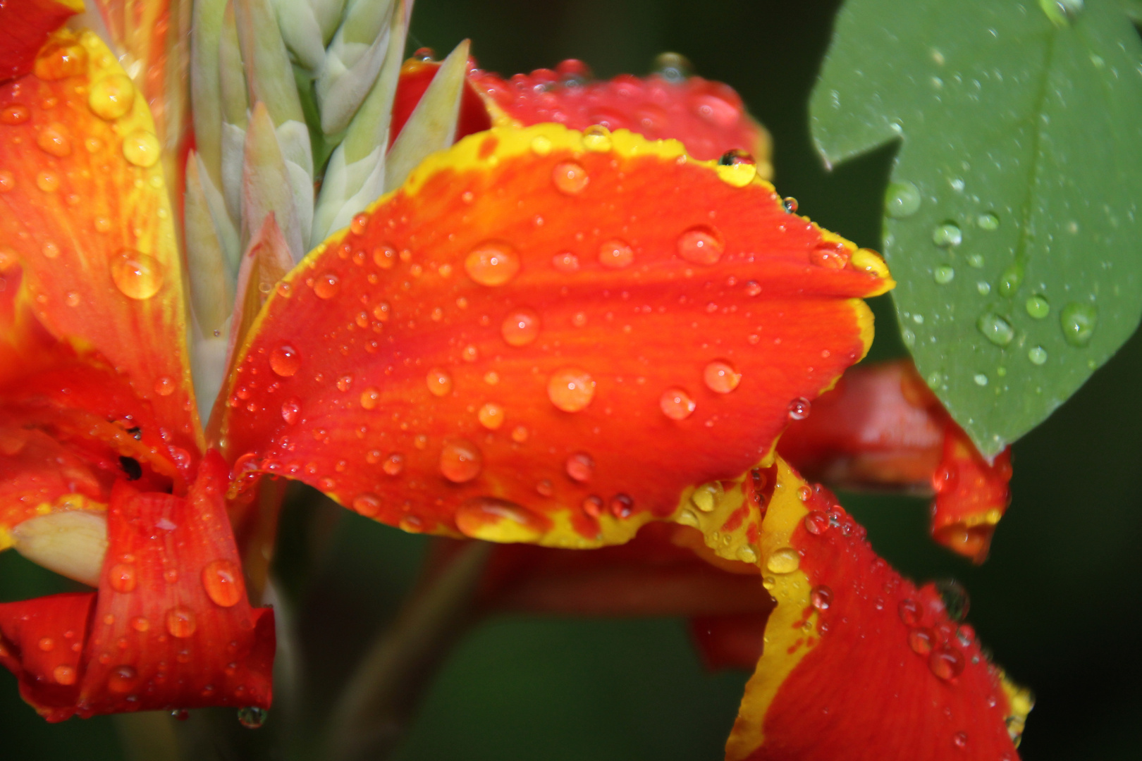 Naß im Regen