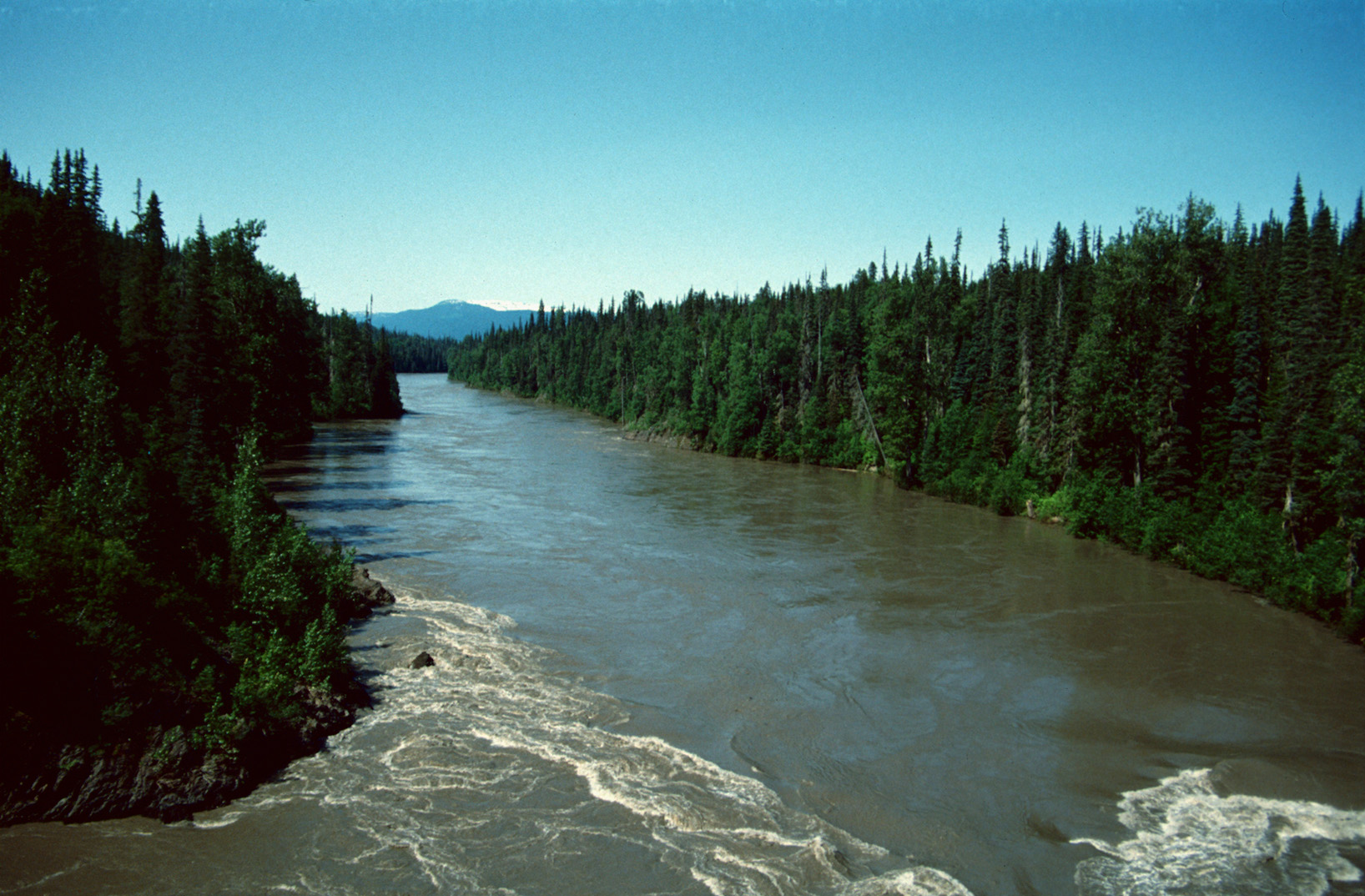 Nass River, BC - 1992...