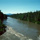 Nass River, BC - 1992...