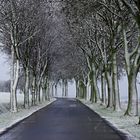 Nass-Schnee Eifel 27.1.14