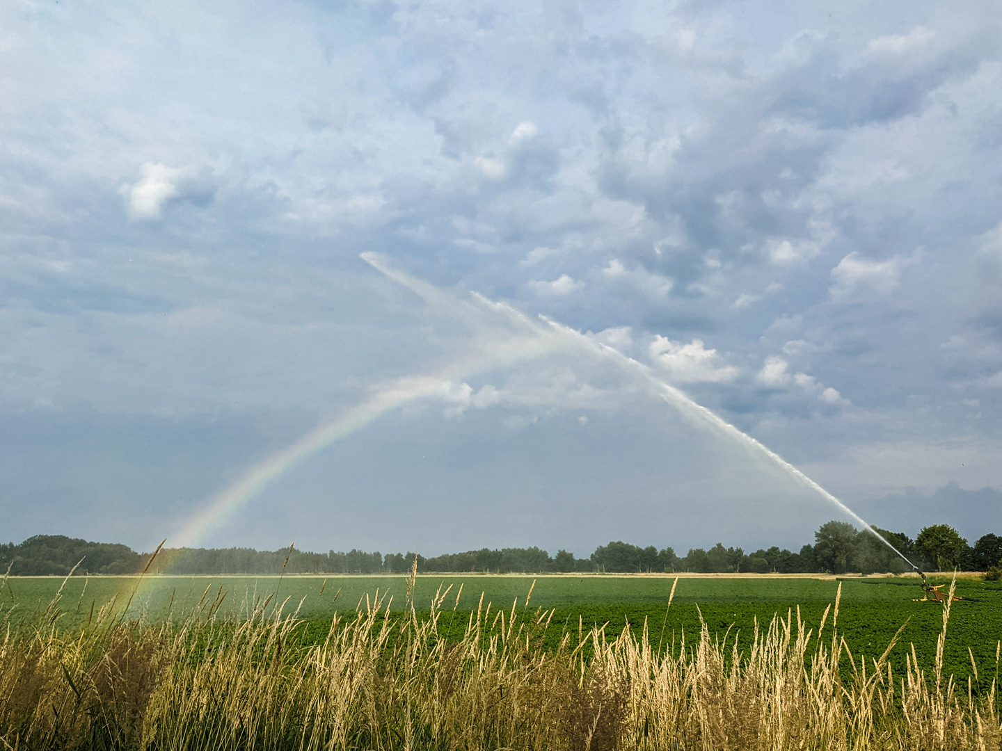 Nass und bunt - die Felddusche