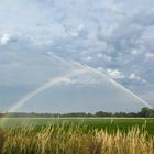 Nass und bunt - die Felddusche