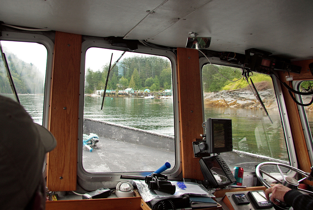 Nasse Aussichten - Boot-Trip zu den Grizzlies im Knight Inlet