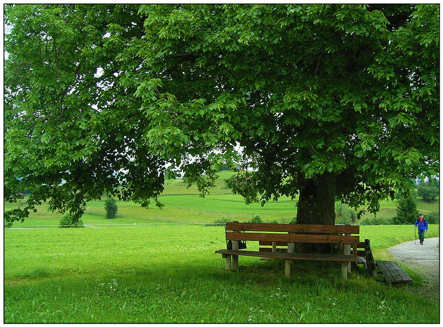 Nasse Bank im Sommer