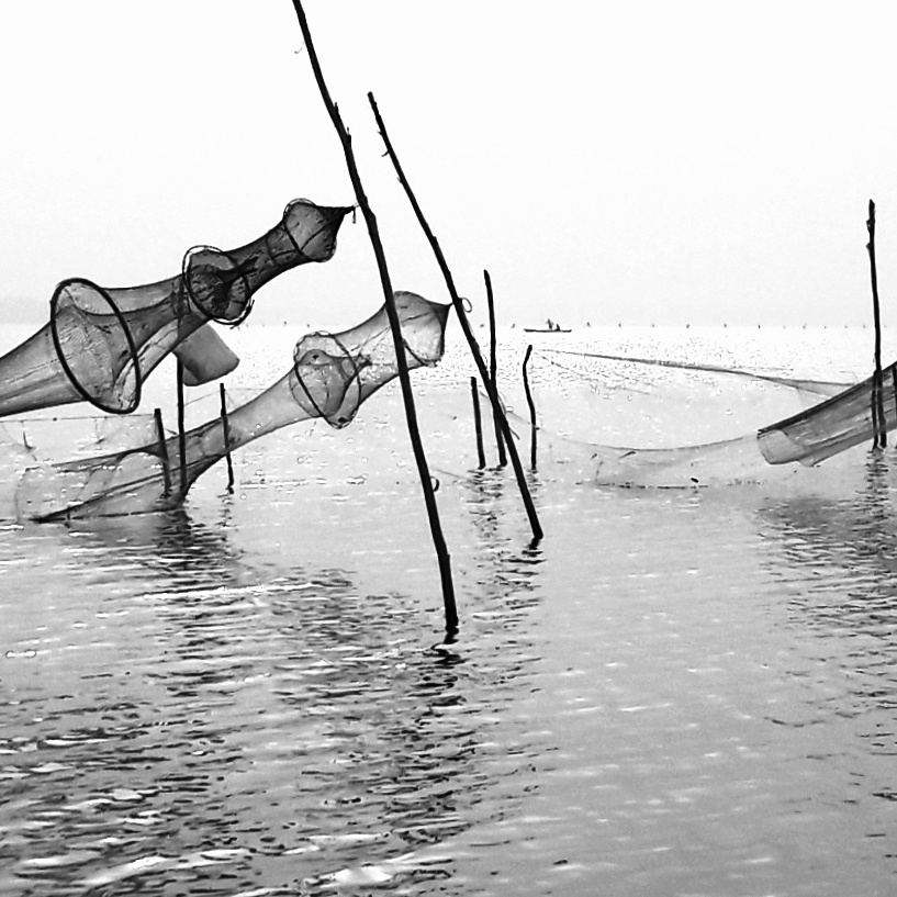 Nasse de pêcheurs, lac Togo