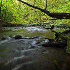 Nasse Füße im Nebeltal