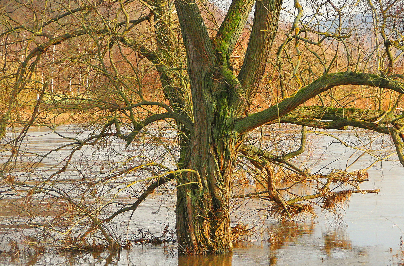 Nasse Füße im Winter