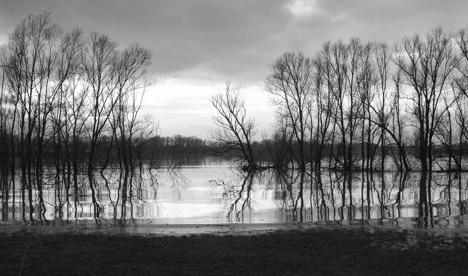 Nasse Füße (Niedermörmter 2021.02.05)