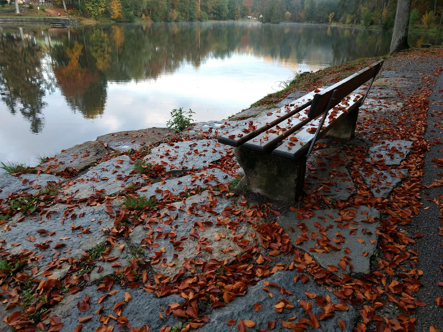 Nasse Herbstbank