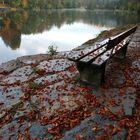 Nasse Herbstbank