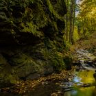 Nasse Tal im Südharz