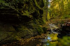 Nasse Tal im Südharz