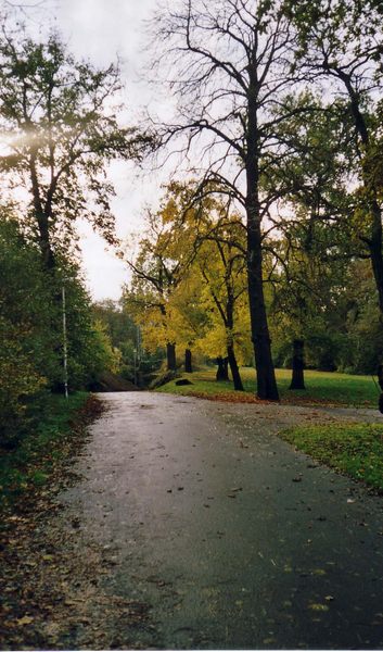 nasser Wanderweg im Herbst