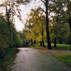 nasser Wanderweg im Herbst