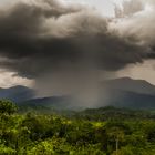 Nassgrün - Nangaritza, Ecuador