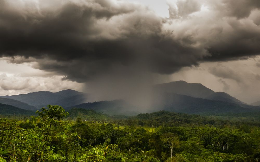 Nassgrün - Nangaritza, Ecuador