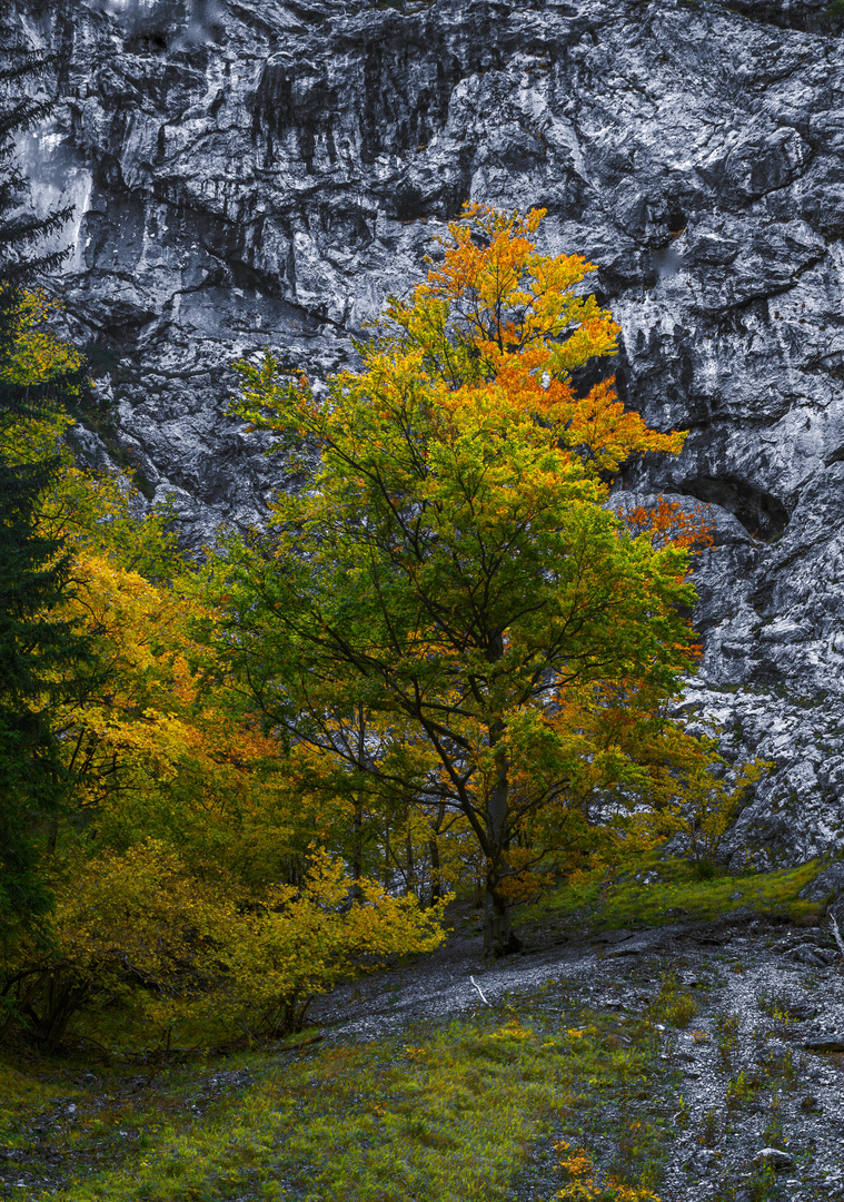  Naßwald, Höllental, Niederösterreich