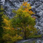  Naßwald, Höllental, Niederösterreich