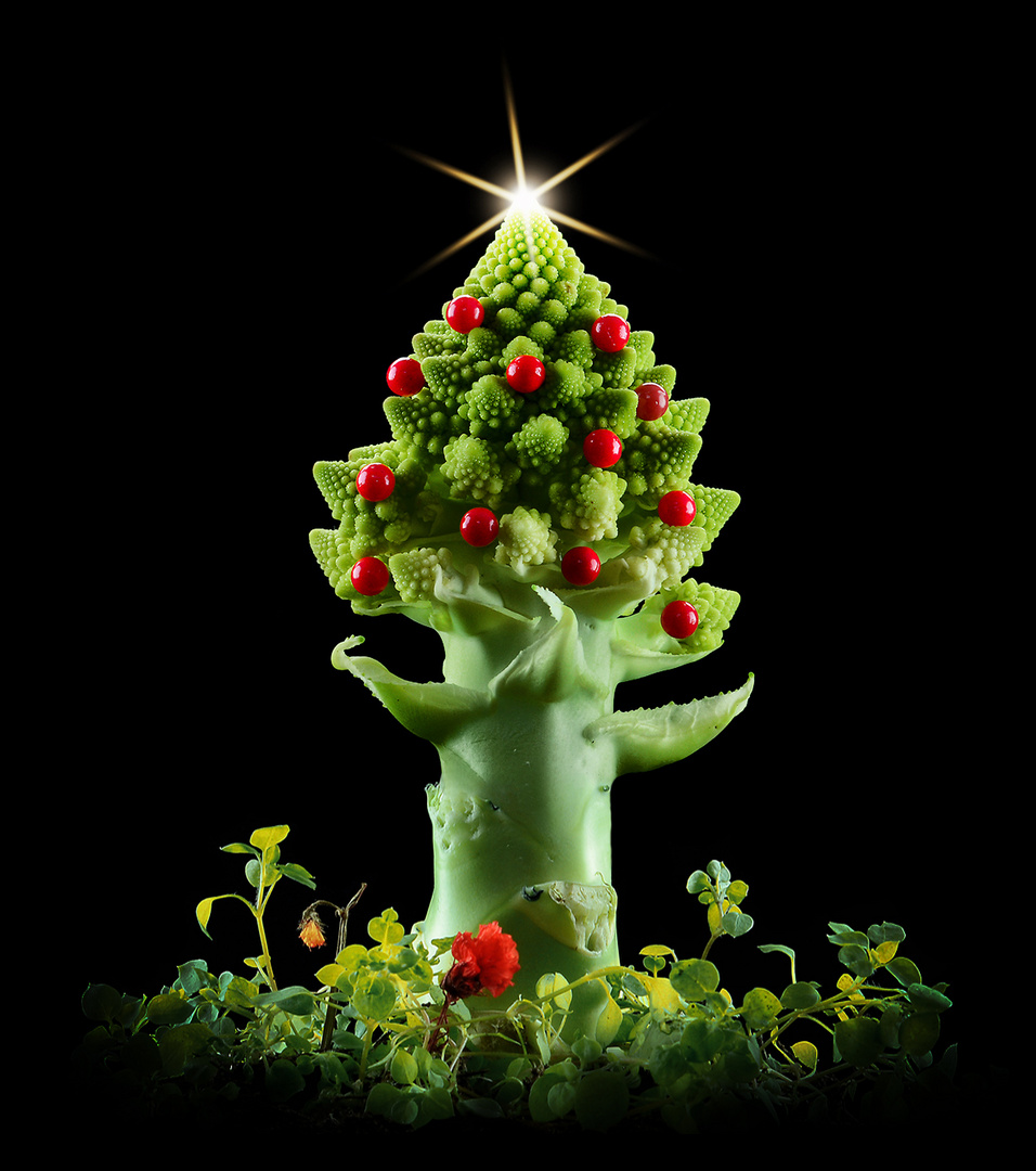 Natale a Broccolandia