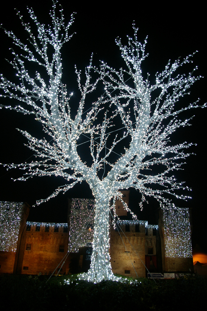 Natale a Cento-L'albero della Rocca