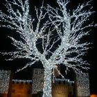 Natale a Cento-L'albero della Rocca