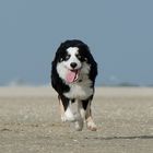 Nate am Strand