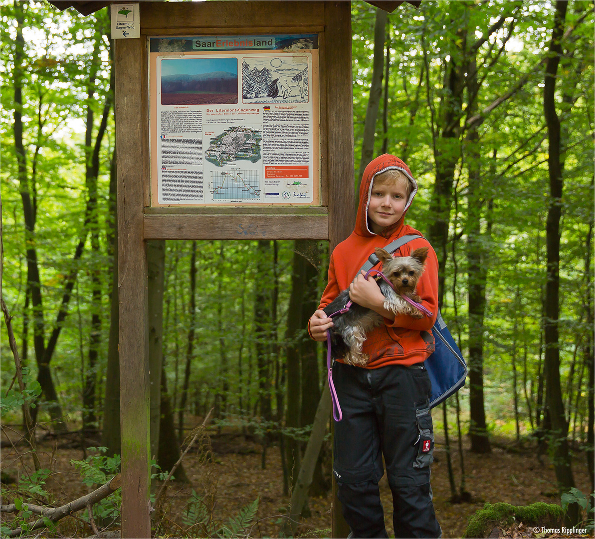 Nathan im Wald...