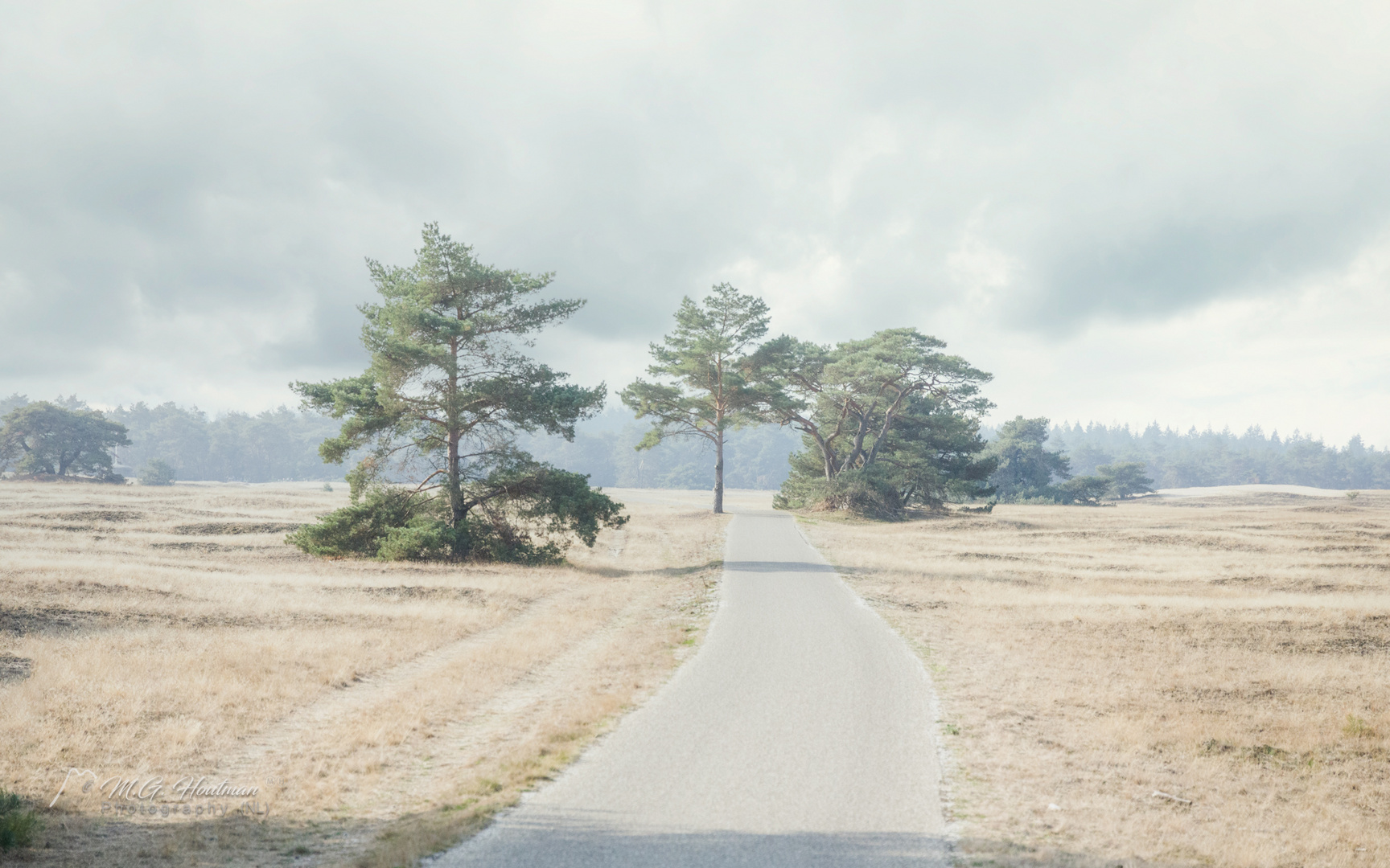 Nationaal Park De Hoge Veluwe (NL)