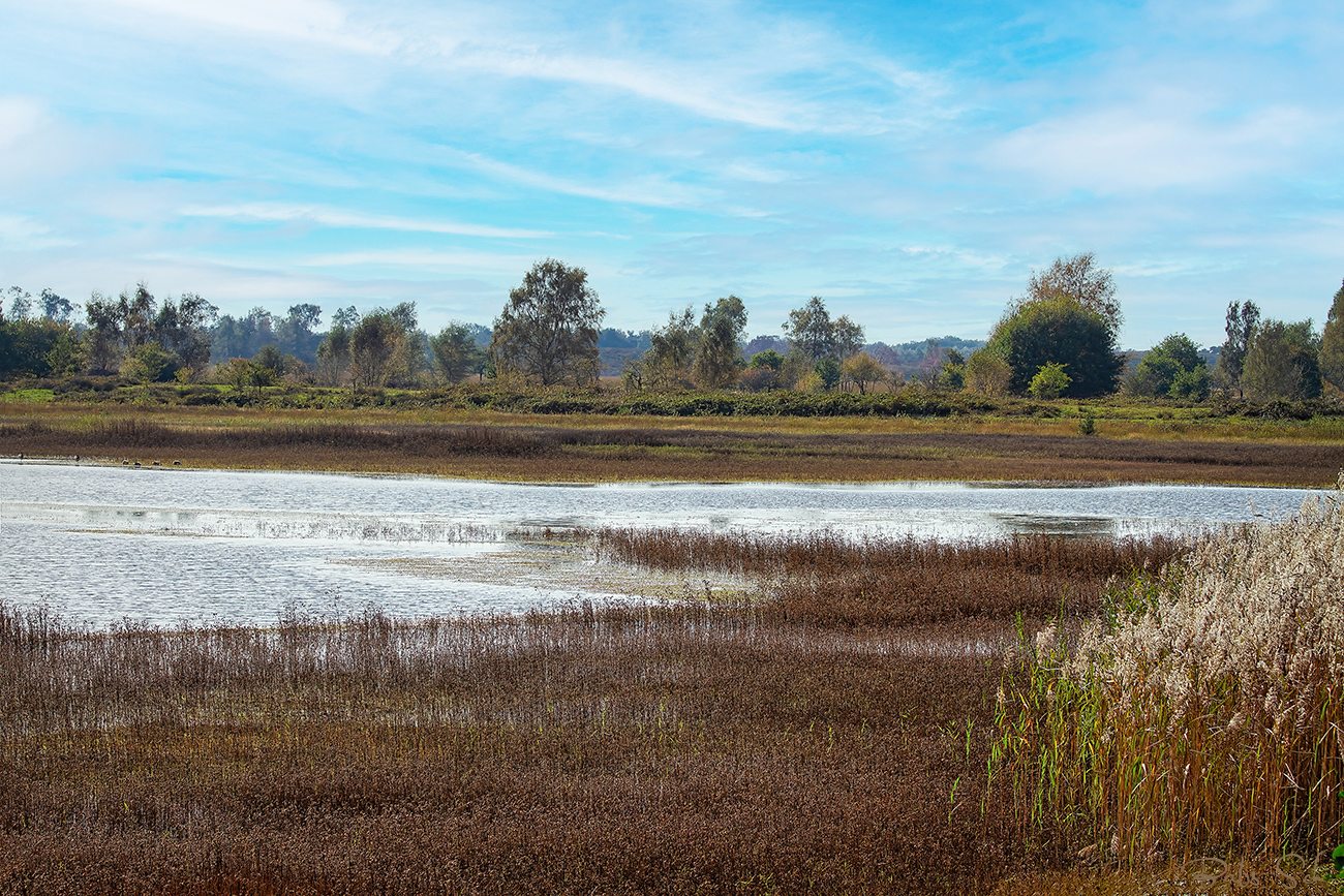 Nationaal Park De Maasduinen