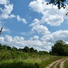 NATIONAAL PARK DE MEINWEG NL