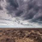 Nationaal Park Dwingelderveld