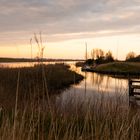 Nationaal Park Lauwersmeer - Diepsterbos - 01
