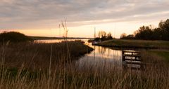 Nationaal Park Lauwersmeer - Diepsterbos - 01