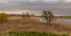 Nationaal Park Lauwersmeer - Diepsterbos - 02