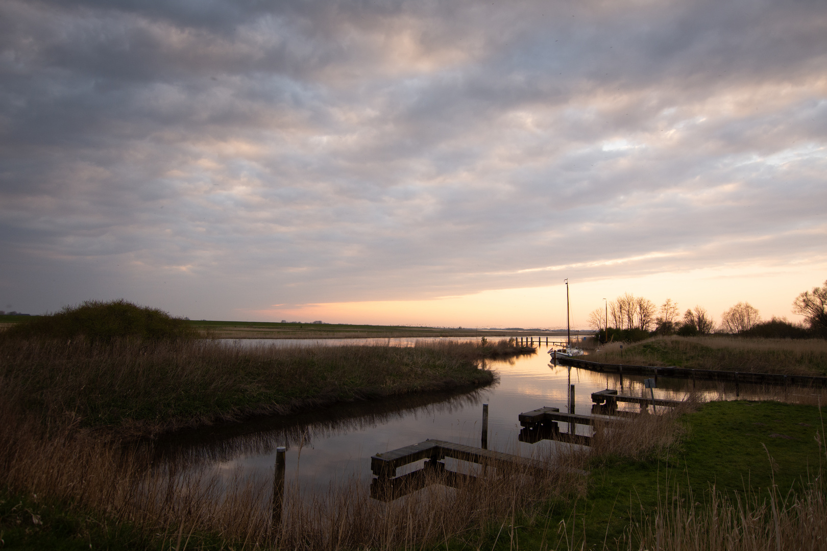 Nationaal Park Lauwersmeer - Diepsterbos - 03