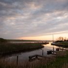 Nationaal Park Lauwersmeer - Diepsterbos - 03