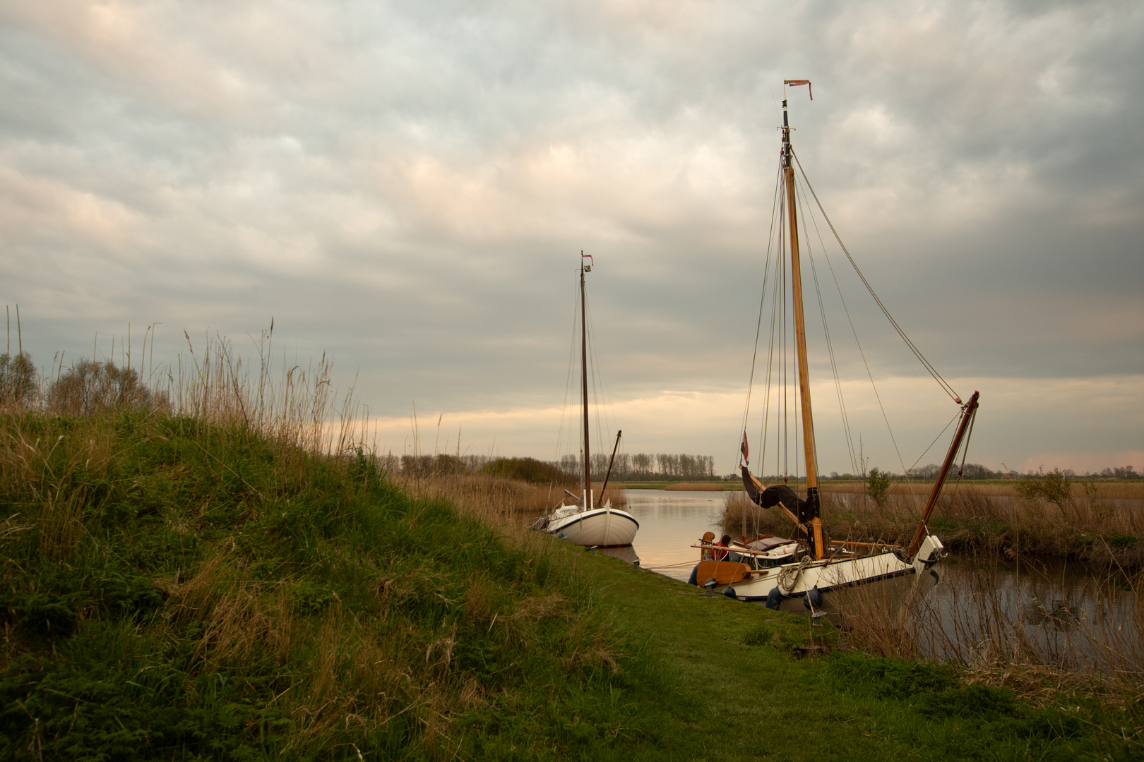 Nationaal Park Lauwersmeer - Diepsterbos - 04