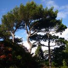 National Botanic Gardens Dublin