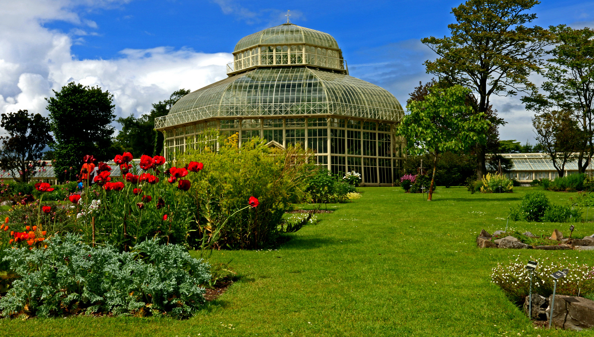 NATIONAL BOTANIC GARDENS of IRELAND 6.2014