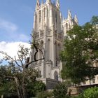 National Cathedral Washington D.C.