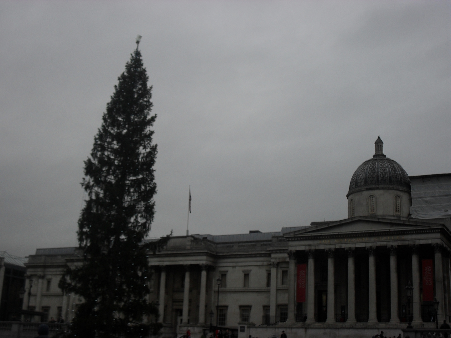 National Gallery & l'Arbre de Noël