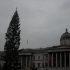 National Gallery & l'Arbre de Noël