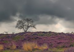 National Geo: Titel Siegerbilder Februar 2010