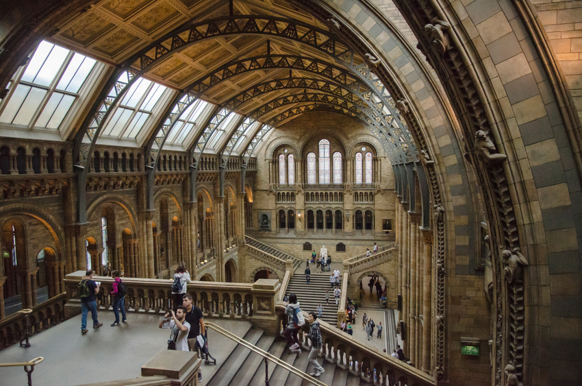 national history museum